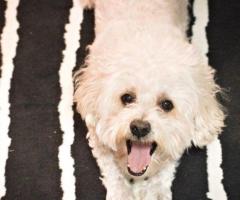 屌你老岶戶好岶屎即